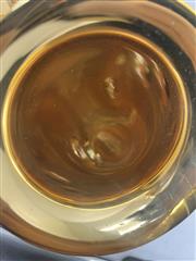 Blessing B-202 Beginner/Student Alto Saxophone w/Hard Case